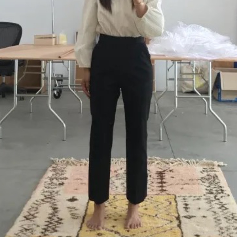 NWOT Jeana Sohn Elio High Waisted Straight Leg Cropped Pants Trousers